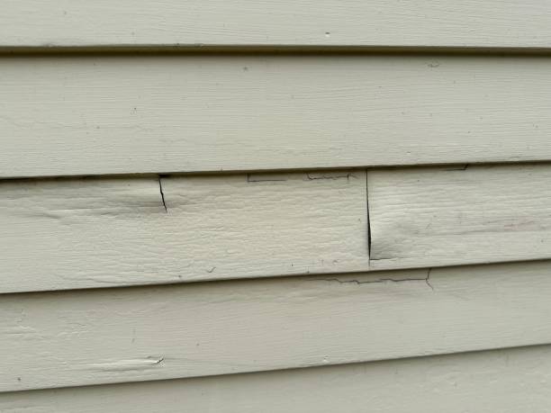 Trusted Shepherd, MI Siding Installation & Repair Experts