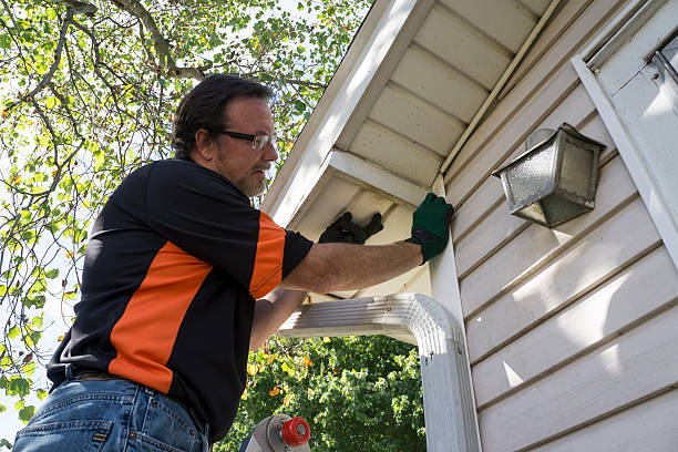 Best Storm Damage Siding Repair  in Shepherd, MI